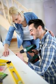 Magasins ZooBo pour aquariums d'eau douce - Services de design d'intérieur