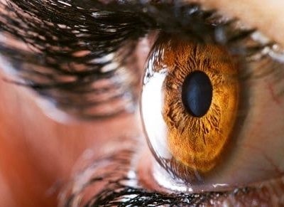 Tout ce qu'il faut savoir sur l'iridologie par Lorédane Di Meo