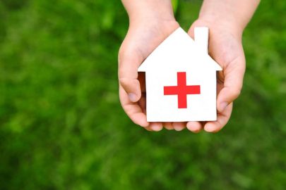 Lutte antiparasitaire Sunshine Greenery - Immobilier