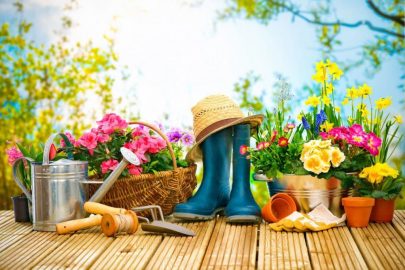 Outil de jardin - Jardin